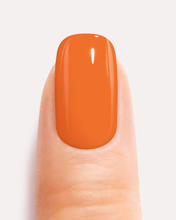 Orange Uni