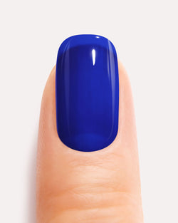 Bleu Nuit Uni